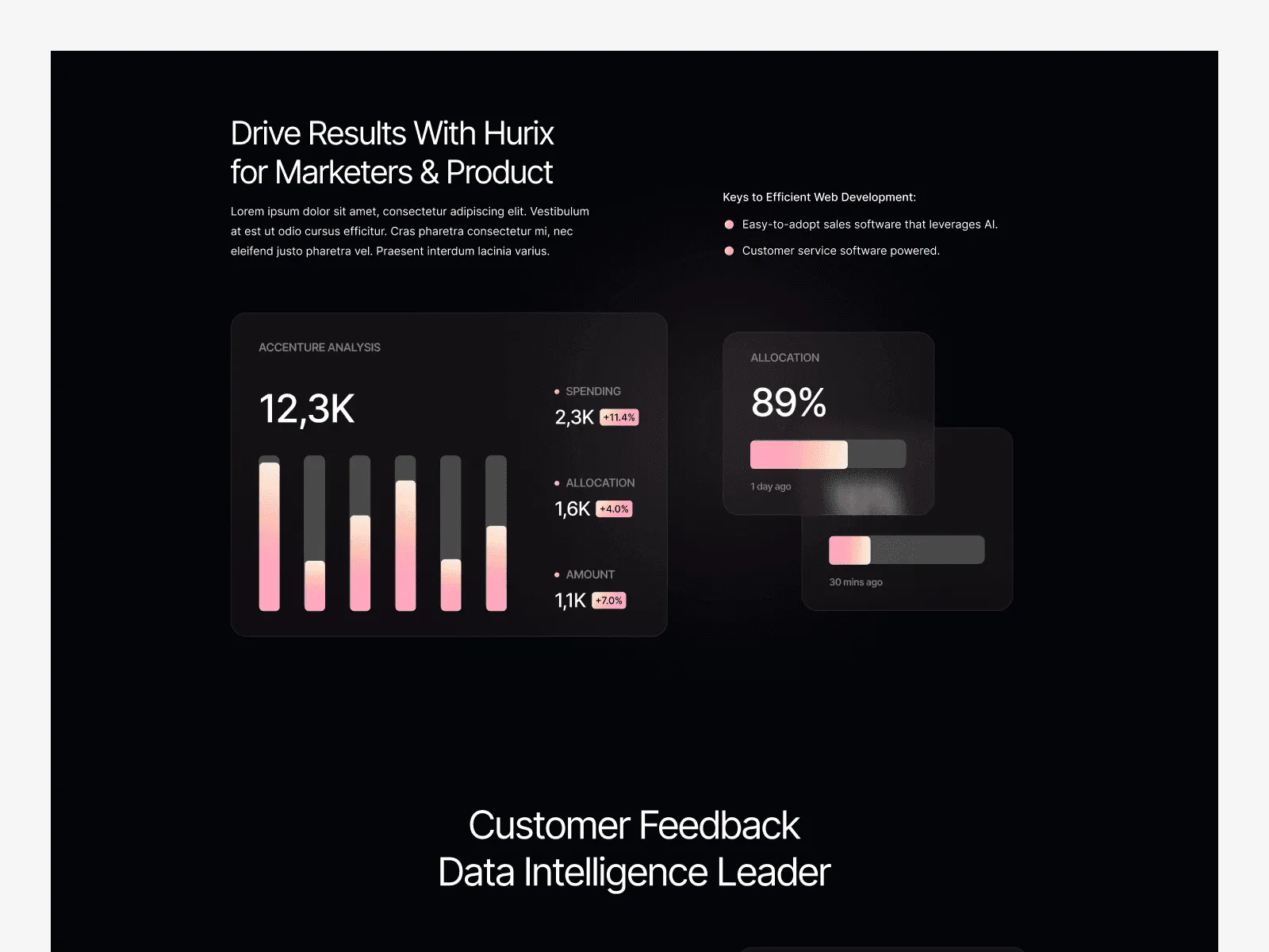 Hurix - SaaS Website Template preview 2